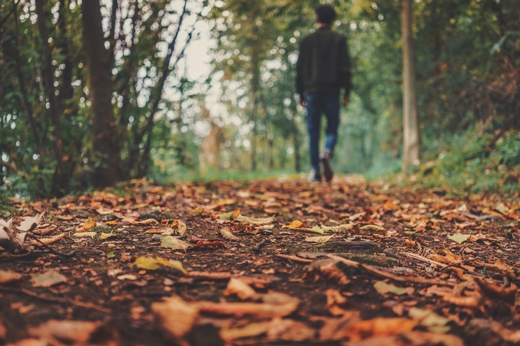 How To Walk and Better Settle Thoughts