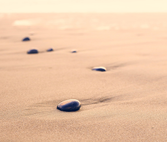 Establish Mindfulness: image